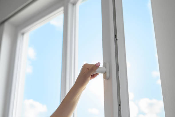 Professional Windows in Alpena, MI